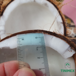 Fresh coconut Tinimex