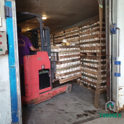 Packing and Loading Coconut