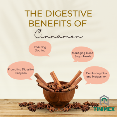 The Digestive Benefits of Cinnamon