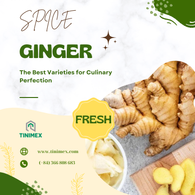 Spicing It Up: The Best Ginger Varieties for Culinary Perfection