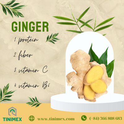Behind the Studies: Ginger and Its Positive Role in Health Research