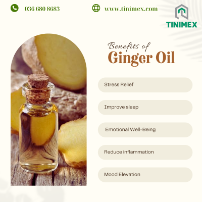 Aromatic Bliss: Unlocking the Potential of Ginger Essential Oil