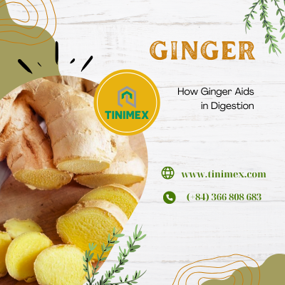Revitalize Your Gut: How 1 piece of Ginger Aids in Digestion