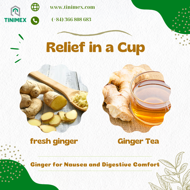 Relief in a Cup: Ginger for Nausea and Digestive Comfort