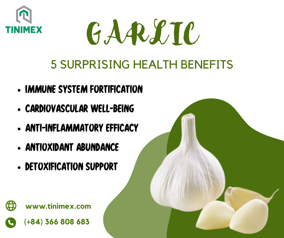 Discovering the Power of Organic Garlic: 5 Surprising Health Benefits