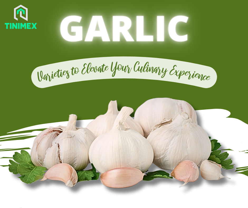 Choosing the Best: 7 Garlic Varieties to Elevate Your Culinary Experience