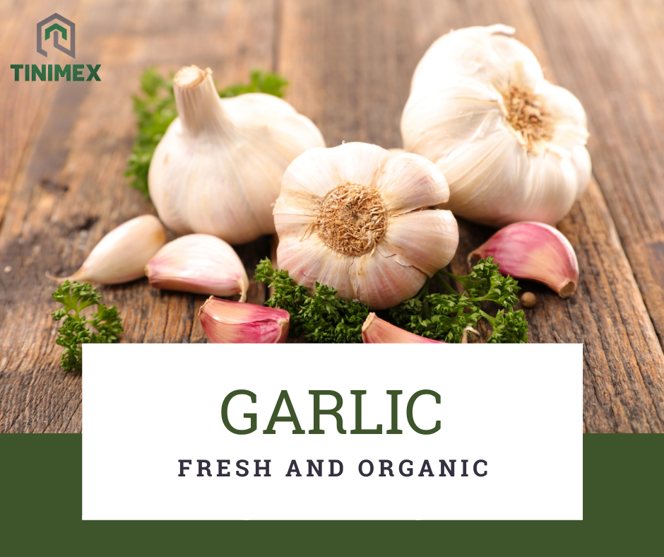 Spice Up Your Life: 10 Wonderful Garlic Seasoning Tips and Tricks