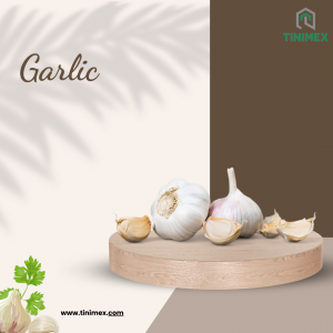 Garlic from Tinimex