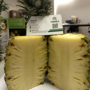 Pineapple MD2: Unveiling the Golden Jewel of Tropical Fruits