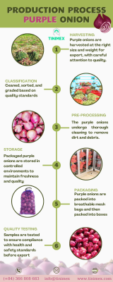 Production process purple onion