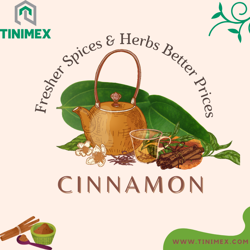 Vietnamese Cinnamon
