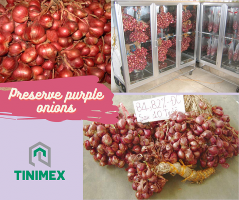 preserve purple onions