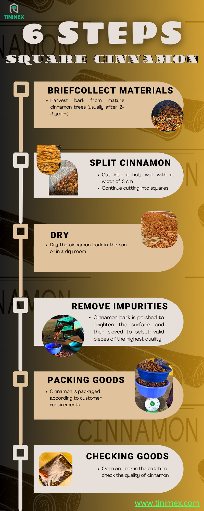 Delightful process with 6 steps to produce high quality square cinnamon