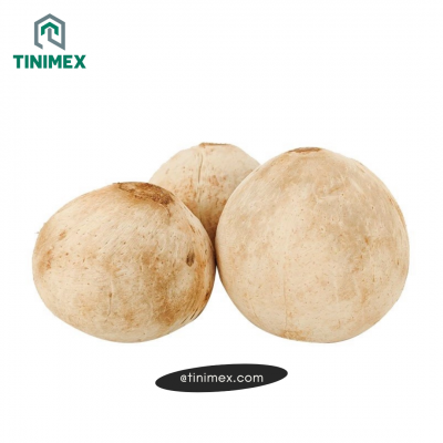 Whole Polished Coconut - Tinimex