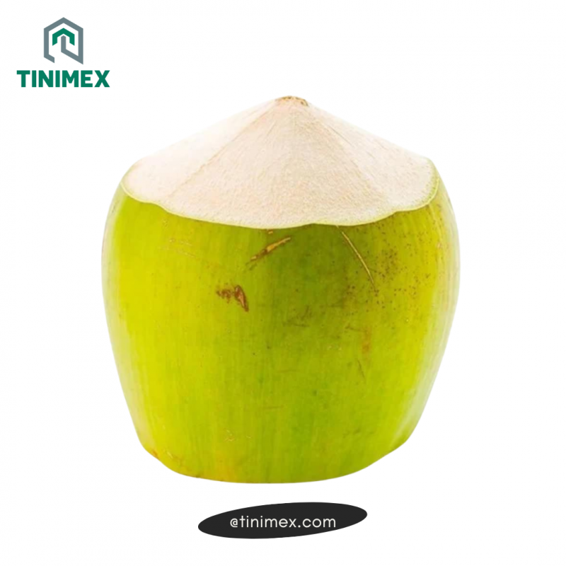 Green Husked Coconut