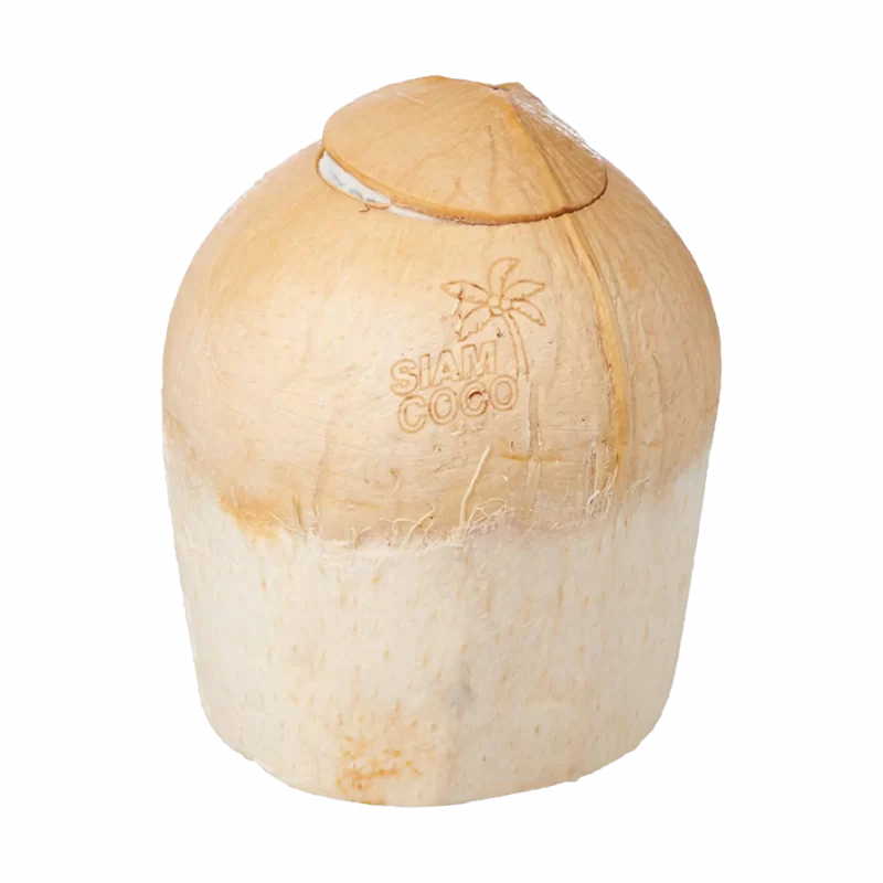 Qualift Semi Polished Coconut