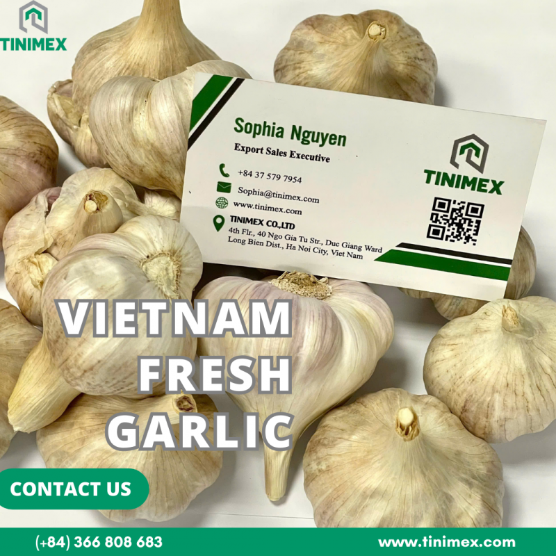 Garlic Used In Livestock Industry 