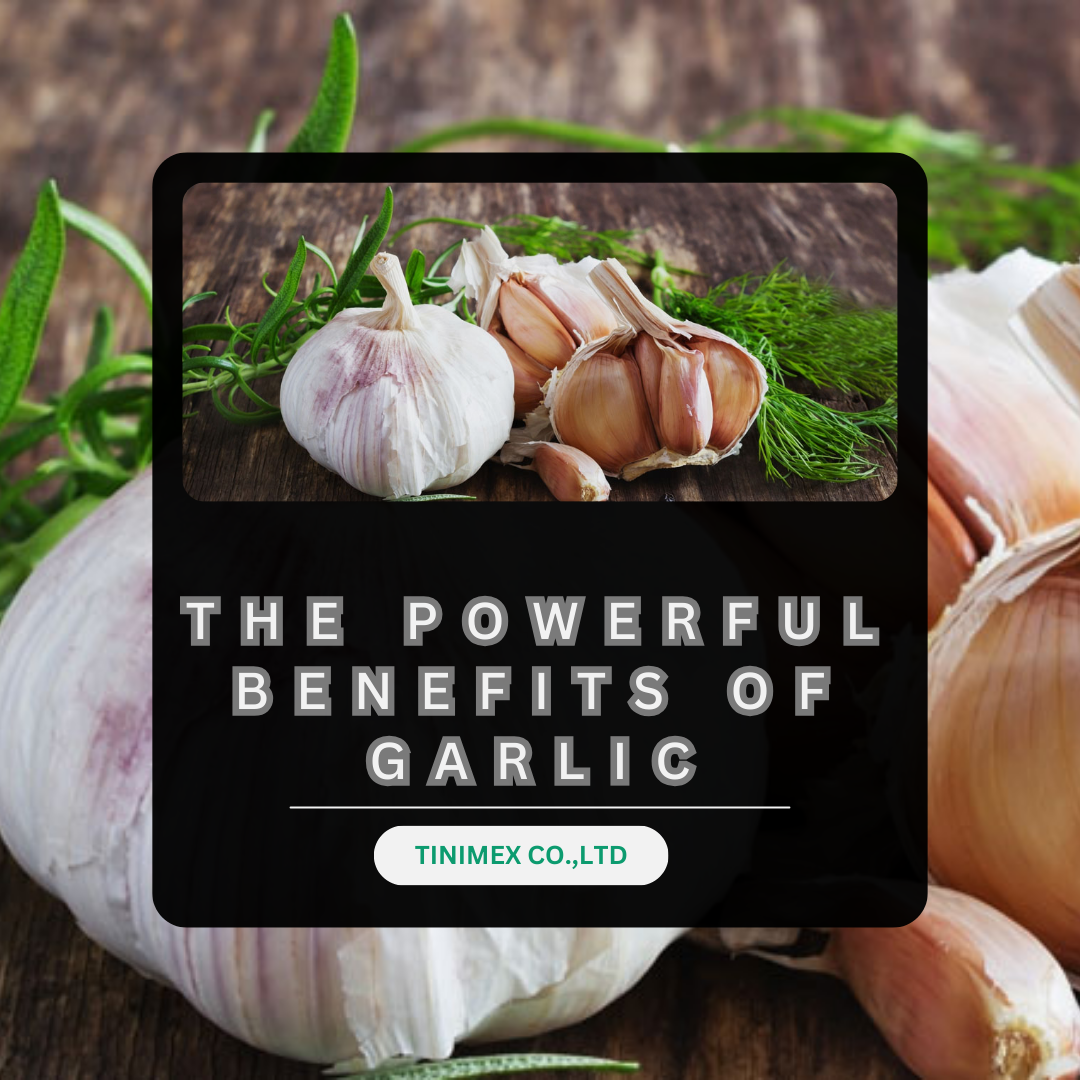 The Powerful Benefits of Garlic