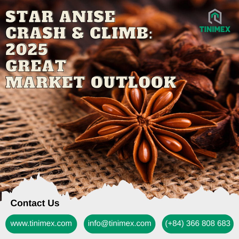 Star Anise