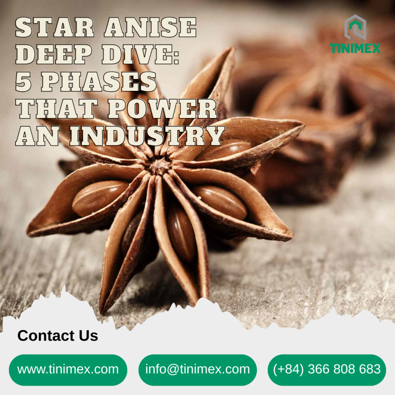 Star Anise