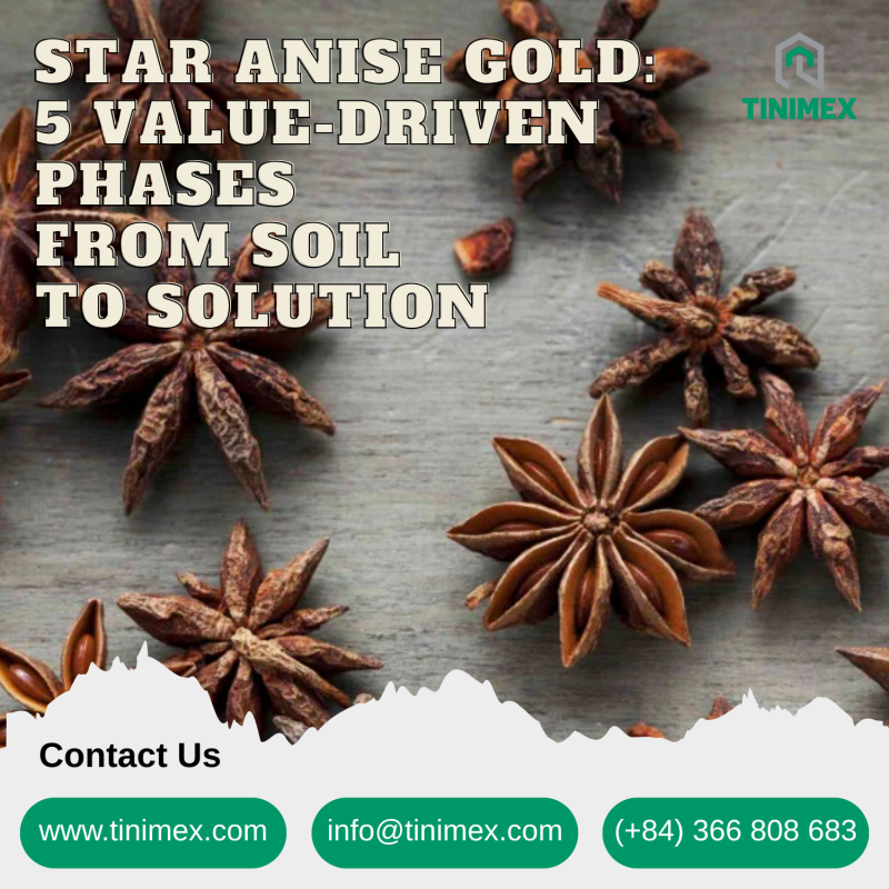 Star Anise