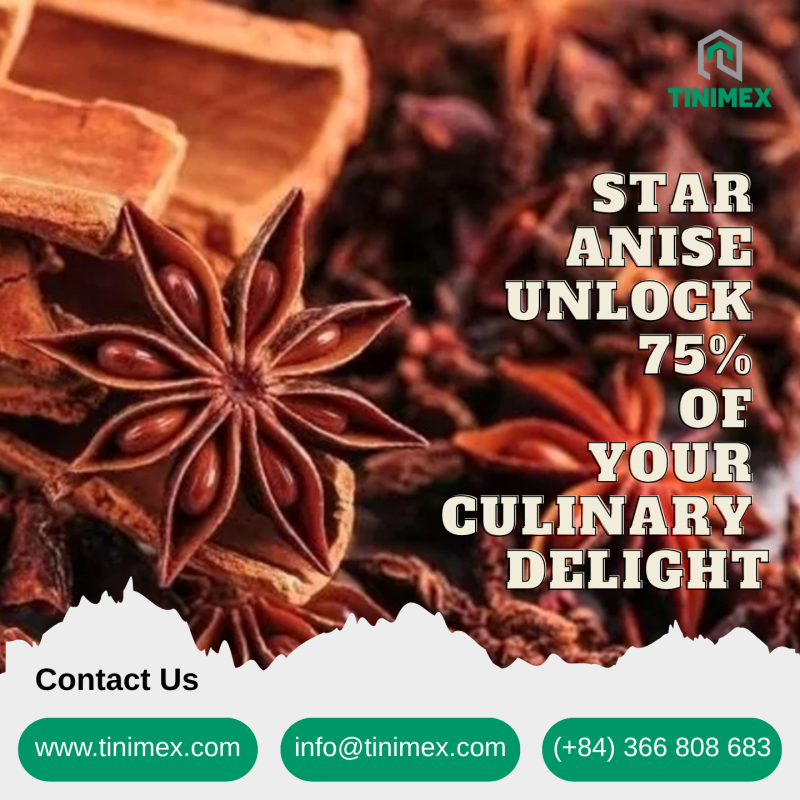 STAR ANISE STAR ANISE