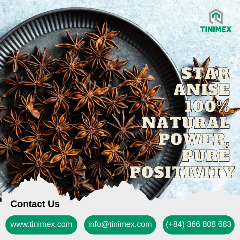 Star Anise Star Anise