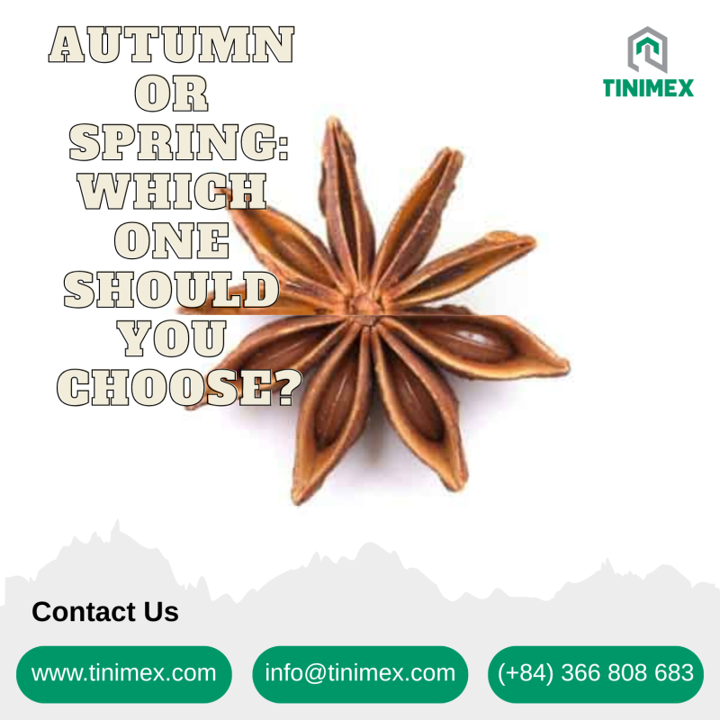 Spring and Autumn Star Anise