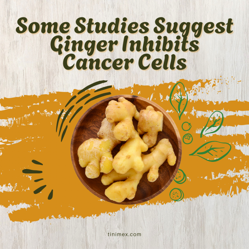 ginger inhibits cancer cells
