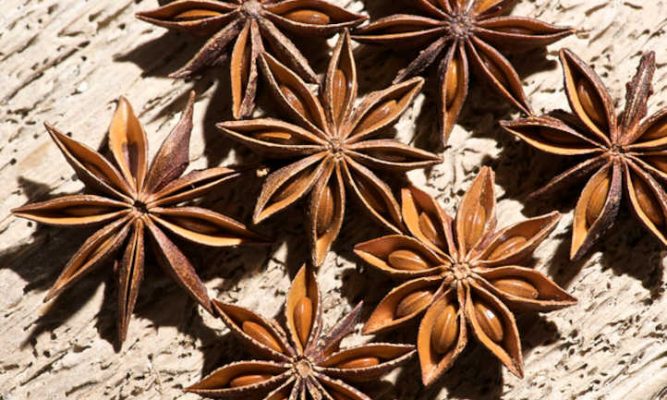 star anise